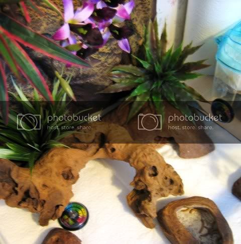IMG_2867-Copy.jpg