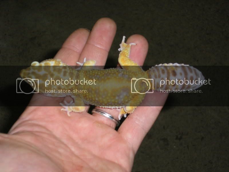 PB130019.jpg