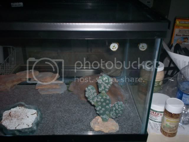 100_4181.jpg