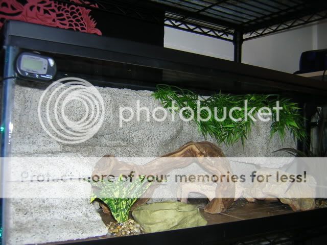 DSCN1527.jpg