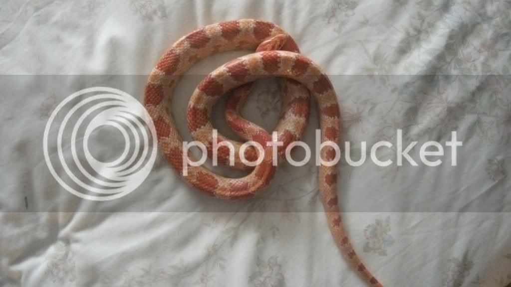 DSCF3910.jpg