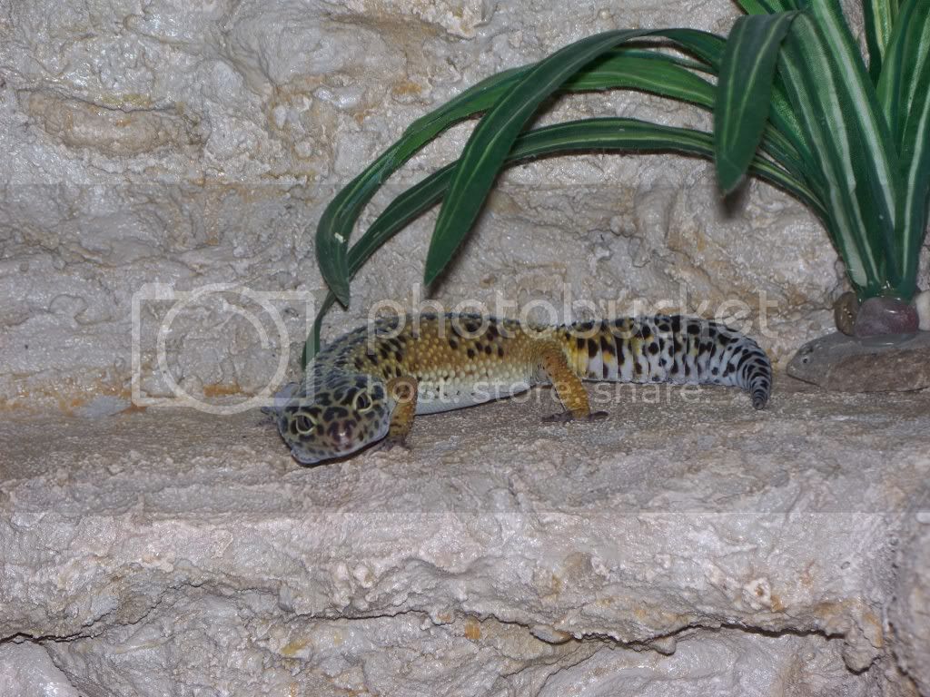 100_1075.jpg