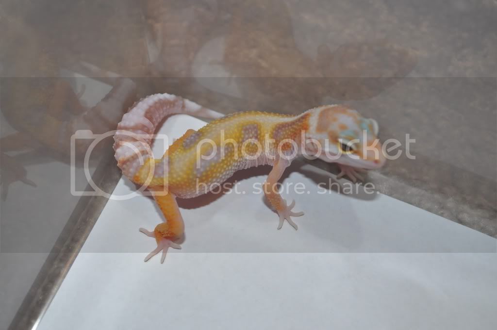 DSC_0109.jpg