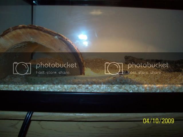 100_1594.jpg