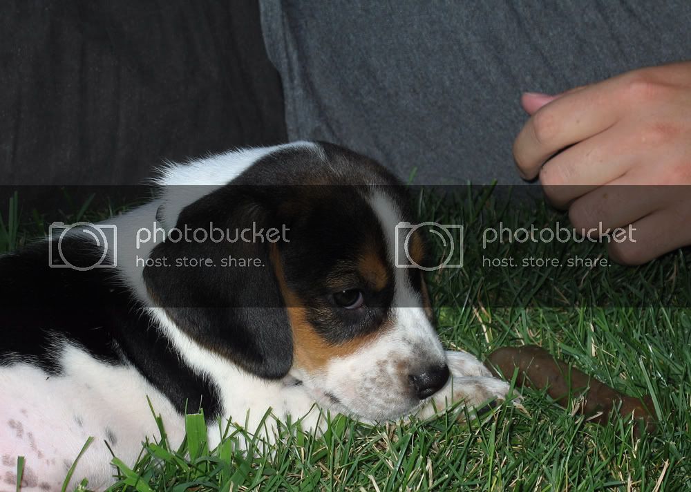 08-07-06Jaxnylabone.jpg