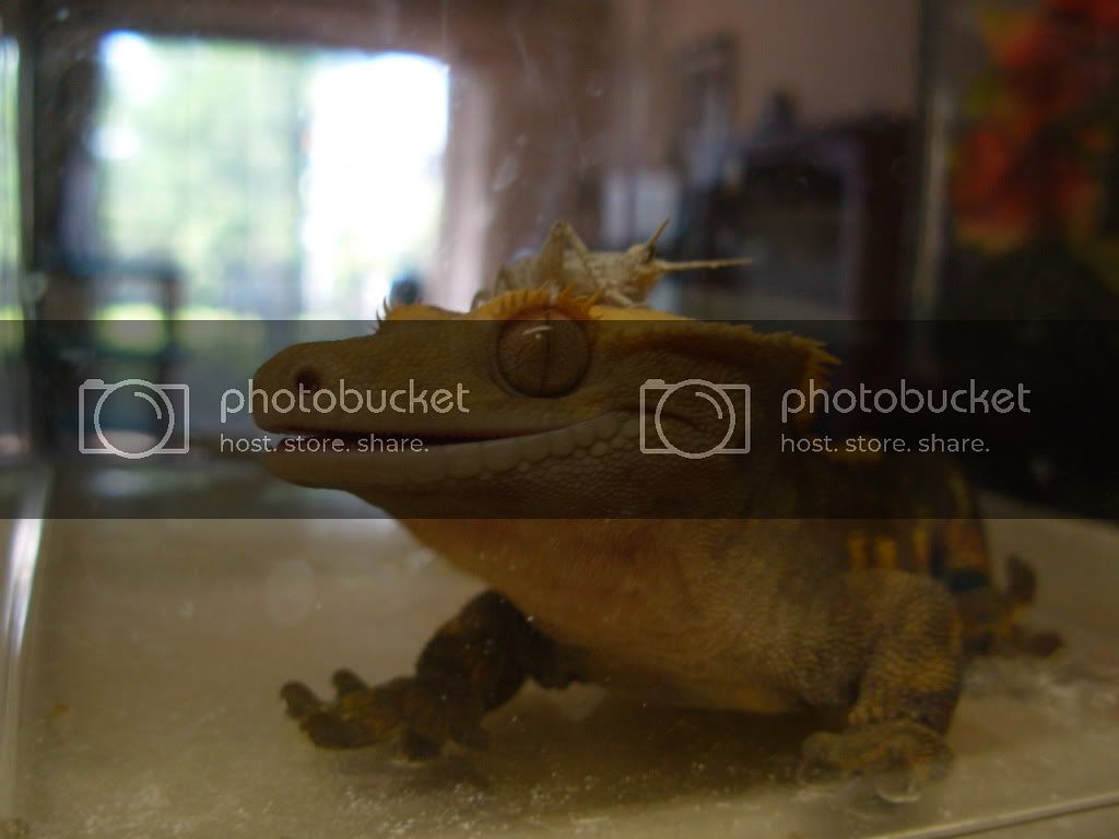 DSCN1142.jpg