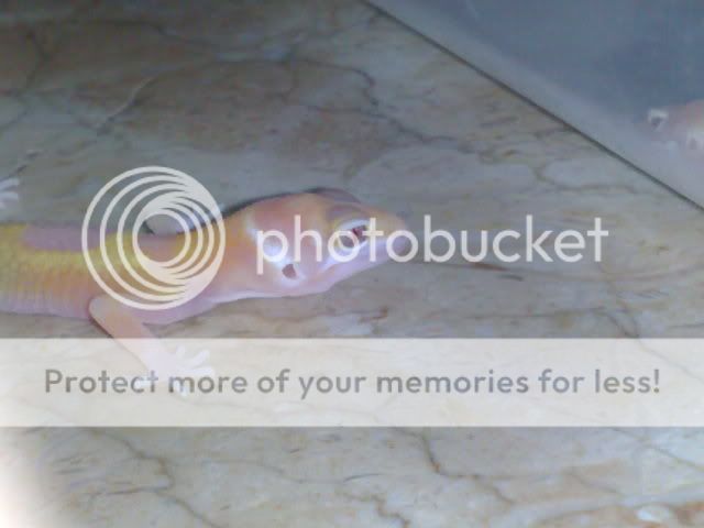 04212009283.jpg