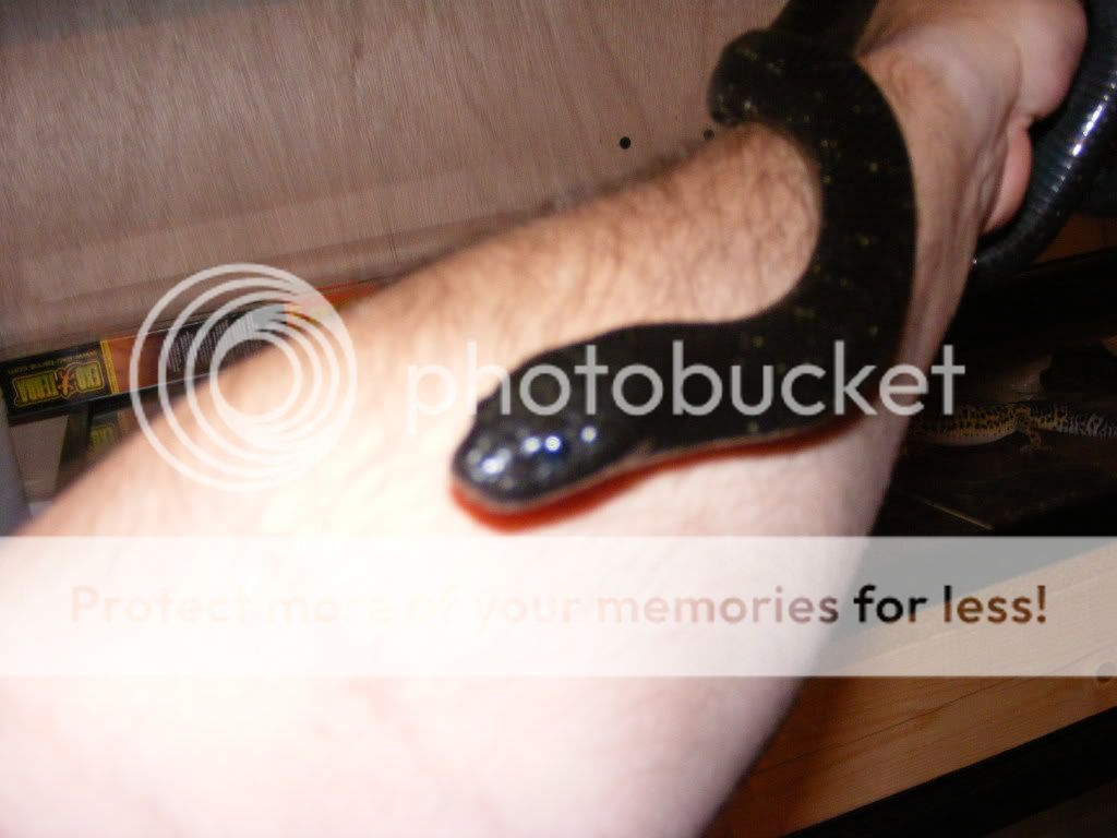 DSCF1776.jpg