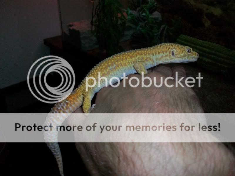100_2316.jpg