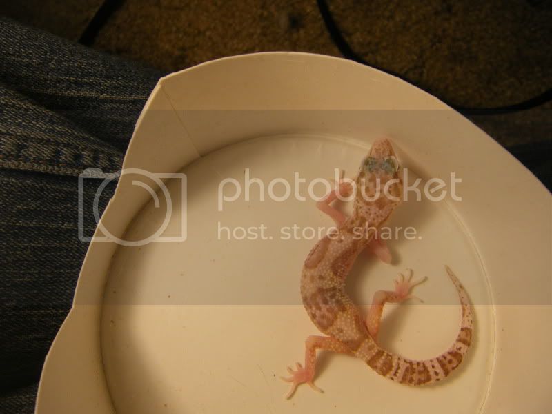 DSCF1085.jpg