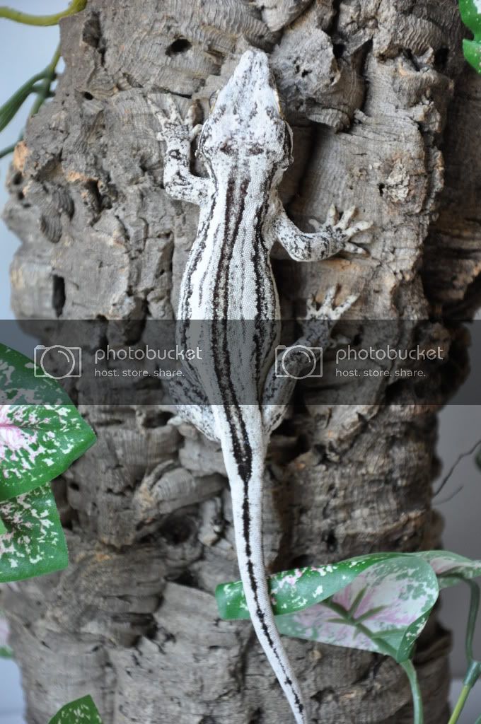 DSC_0501.jpg