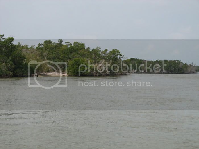 mangroveislands.jpg