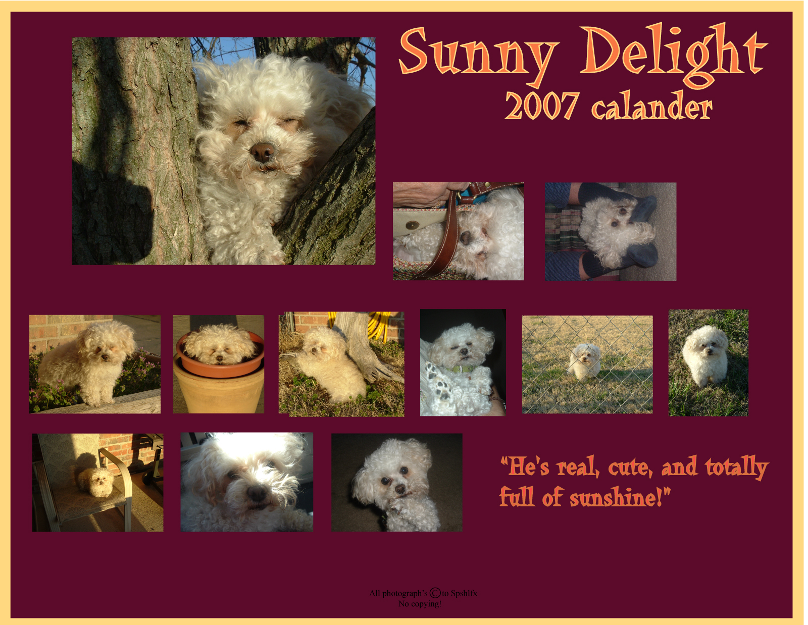 Sunny_calander_by_spshlfx.jpg