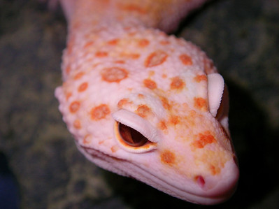 575633547_rJ7dA-S.jpg