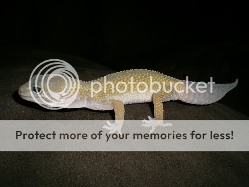 CIMG4365.jpg
