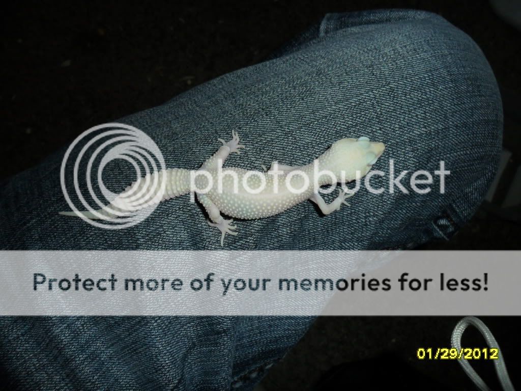 Picture877.jpg