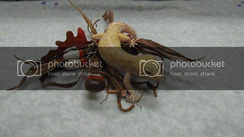IMG_1748.jpg