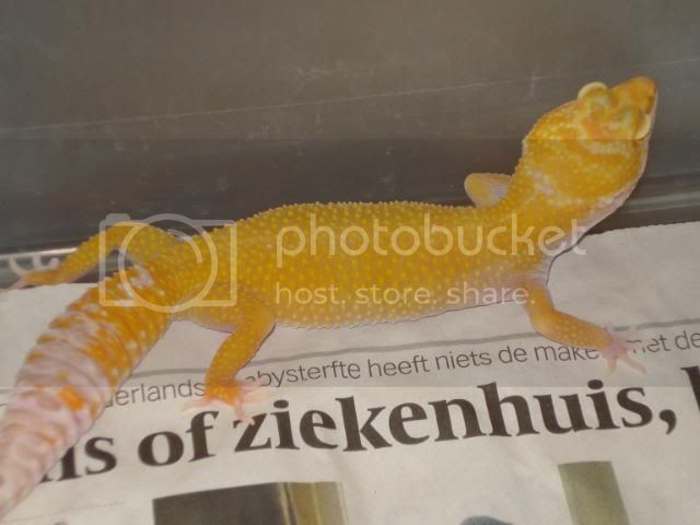 groepenenegyptezending017.jpg