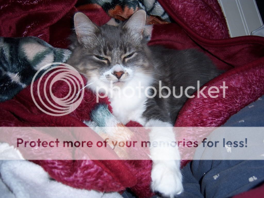 100_6741.jpg