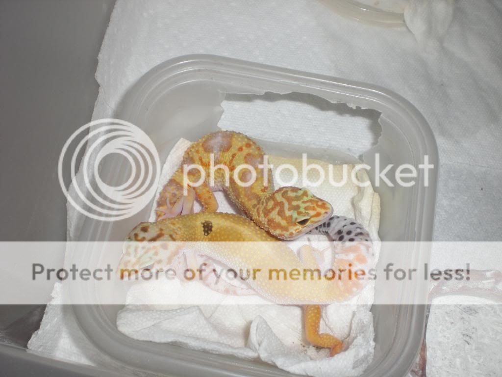 junepix041.jpg