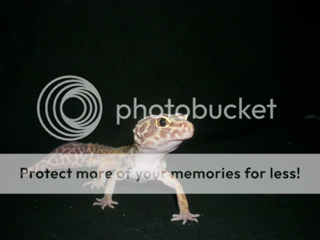 DSCN0493.jpg