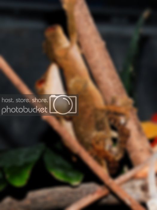 photo4-19.jpg
