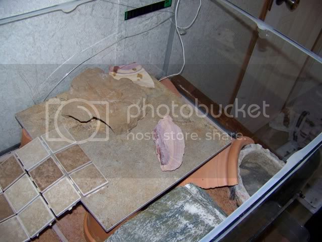 100_2522.jpg