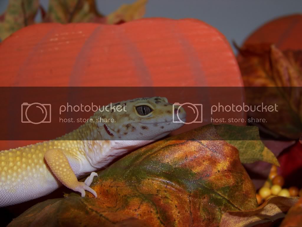 November.jpg