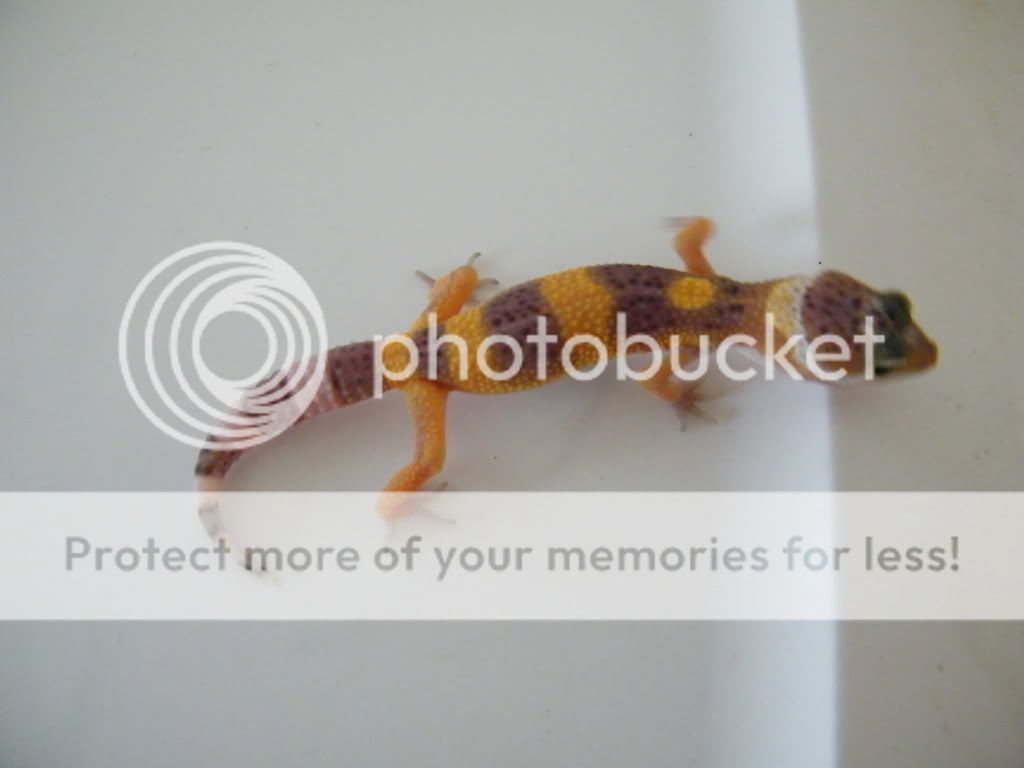DSCF1851.jpg