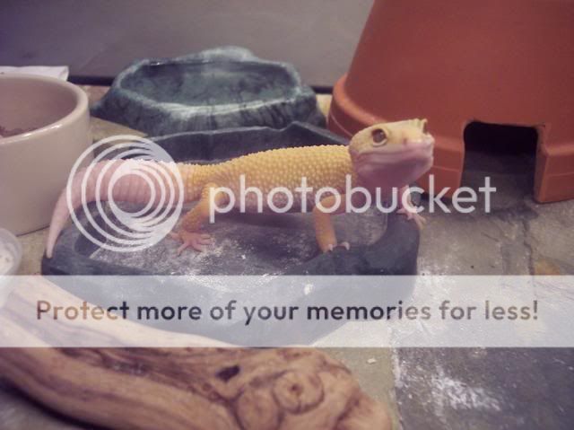 100_1080.jpg