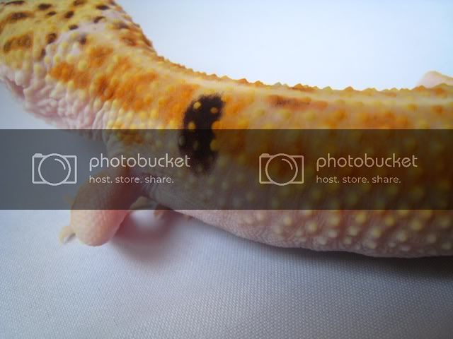 090201067.jpg