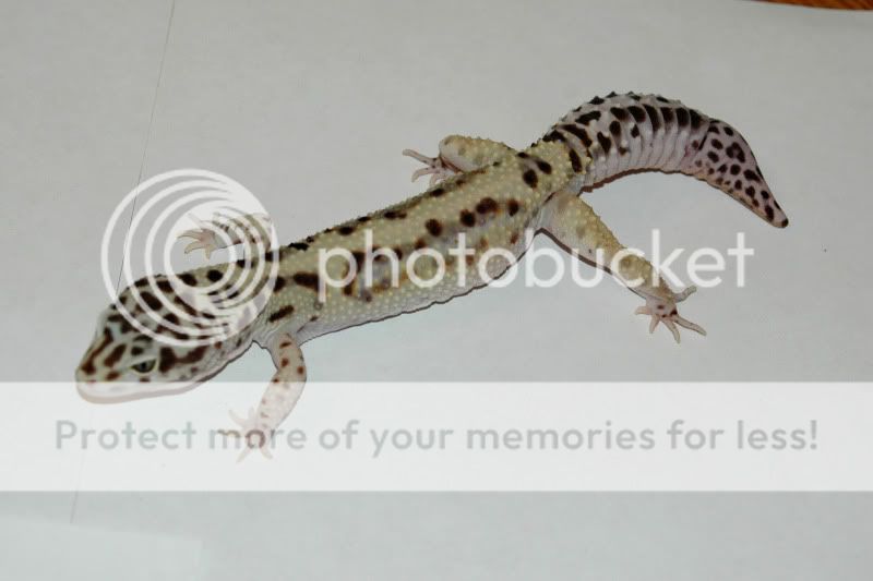 DCC_1495.jpg