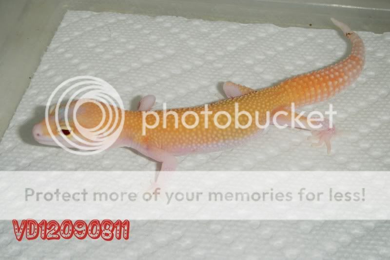 DSCF1215.jpg