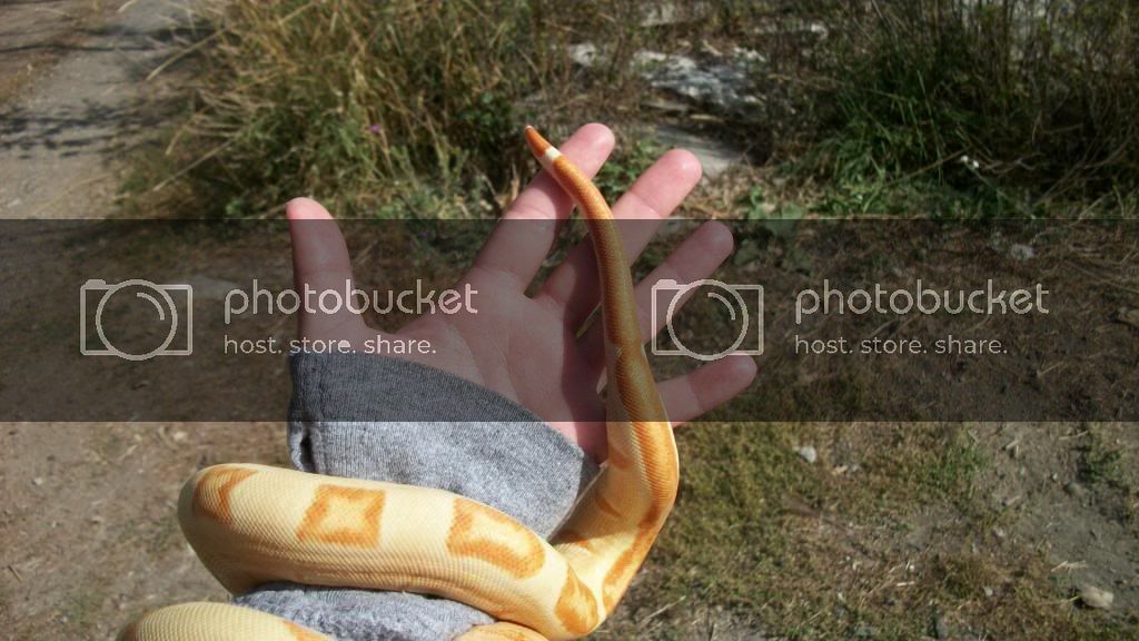 100_4740.jpg