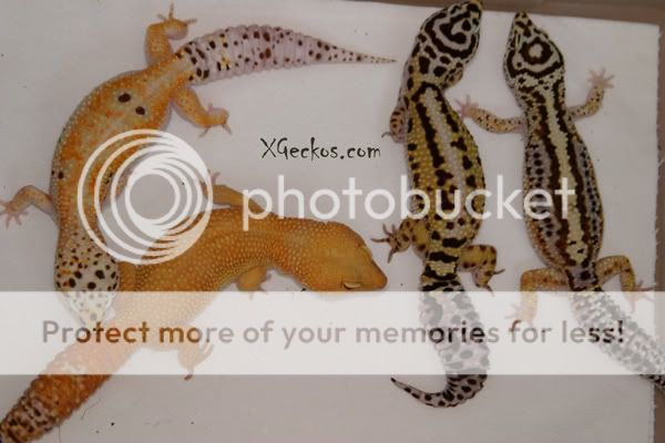IMG_5913.jpg