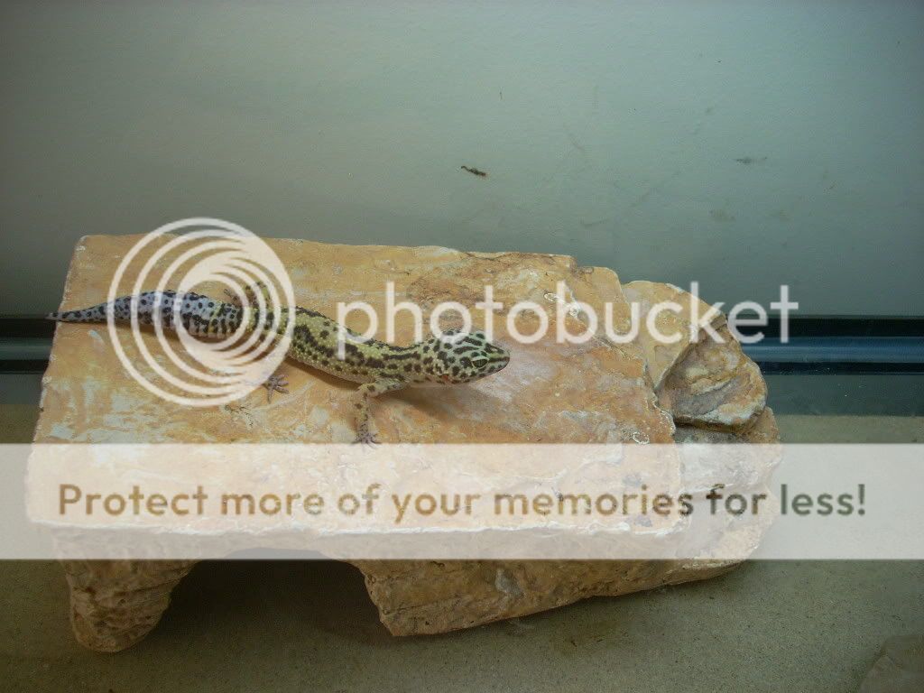 DSCN0026.jpg