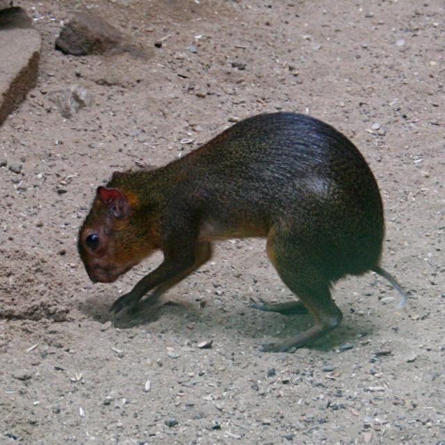 46773.jpg