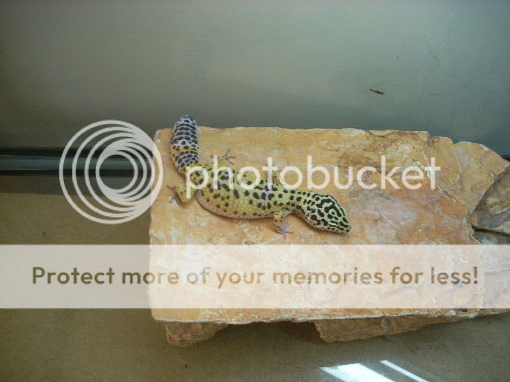 DSCN0049.jpg