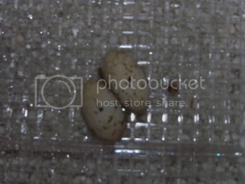 100_4714.jpg