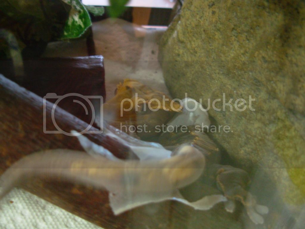 DSCN1046.jpg