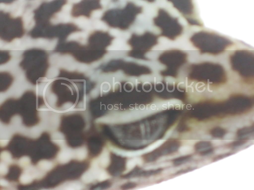 IMG_1052.jpg