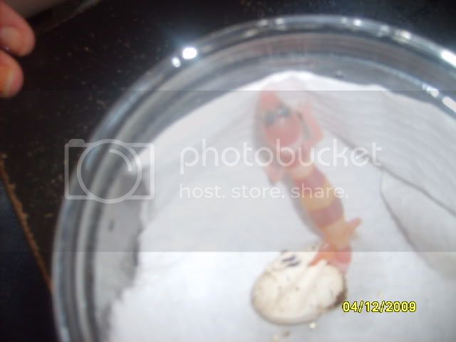 Picture269.jpg