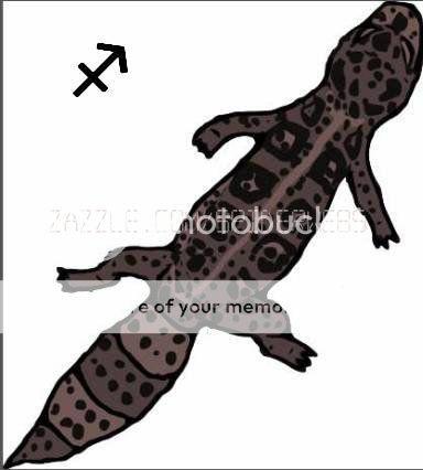12Sagittarius.jpg