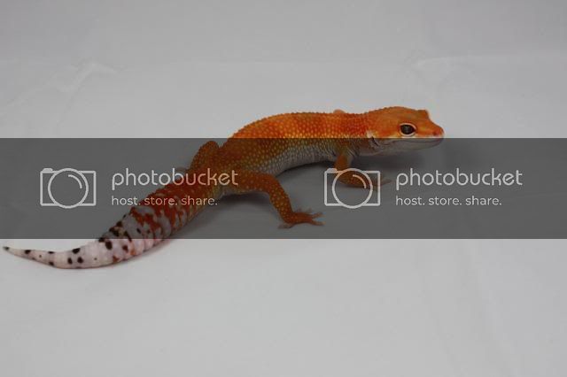 c_IMG_1903.jpg