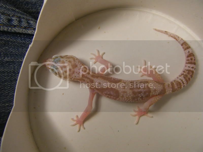 DSCF1084.jpg