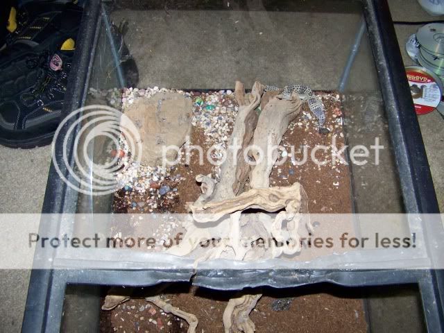 100_2496.jpg