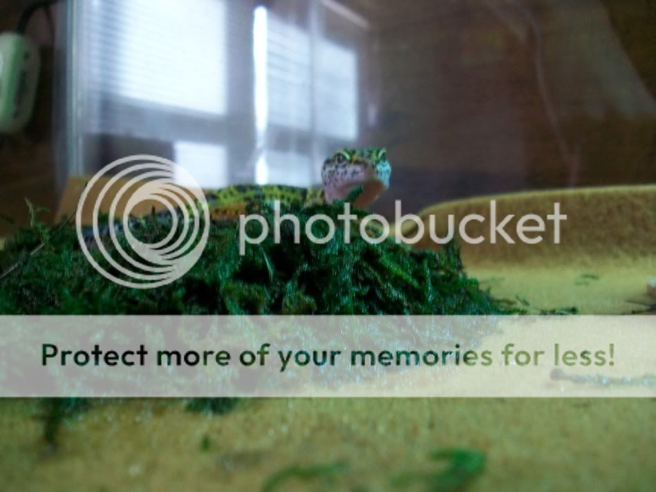 100_0005-1.jpg