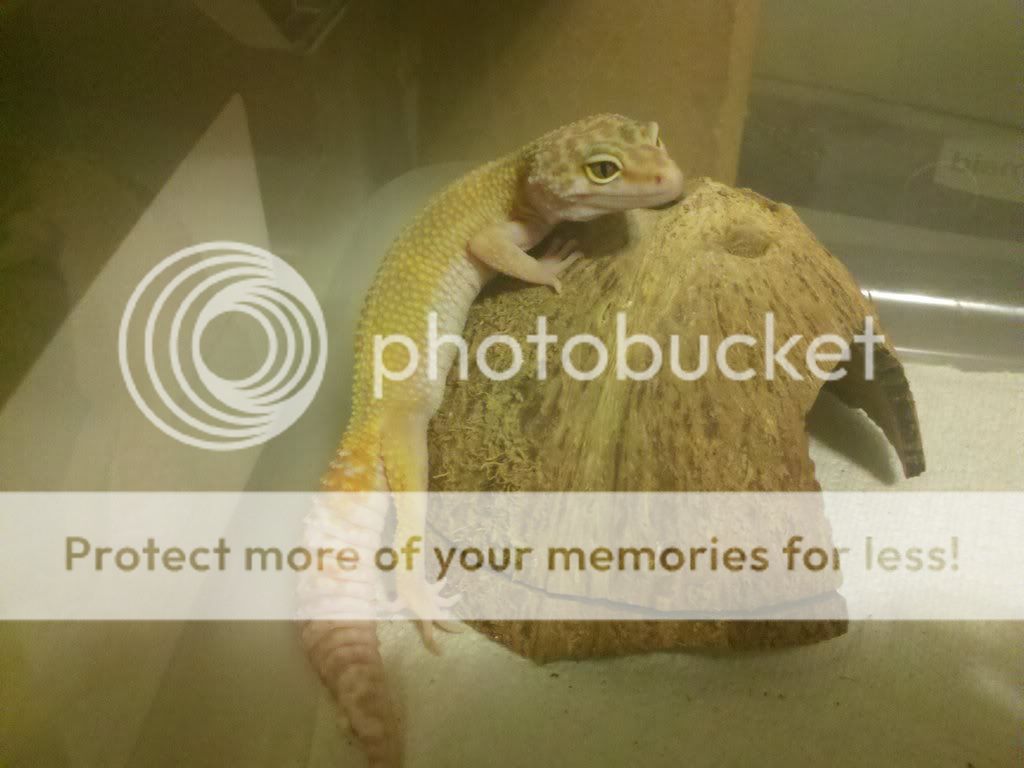 190566704_photobucket_26209_.jpg