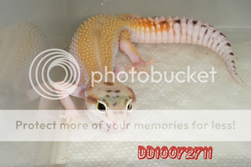 DSCF1080.jpg