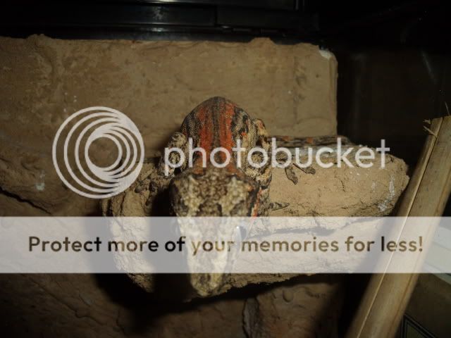 RA_009_2.jpg